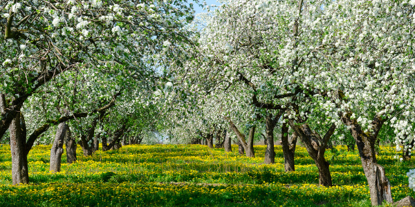 John Fullerton on the Qualities of a Regenerative Economy
