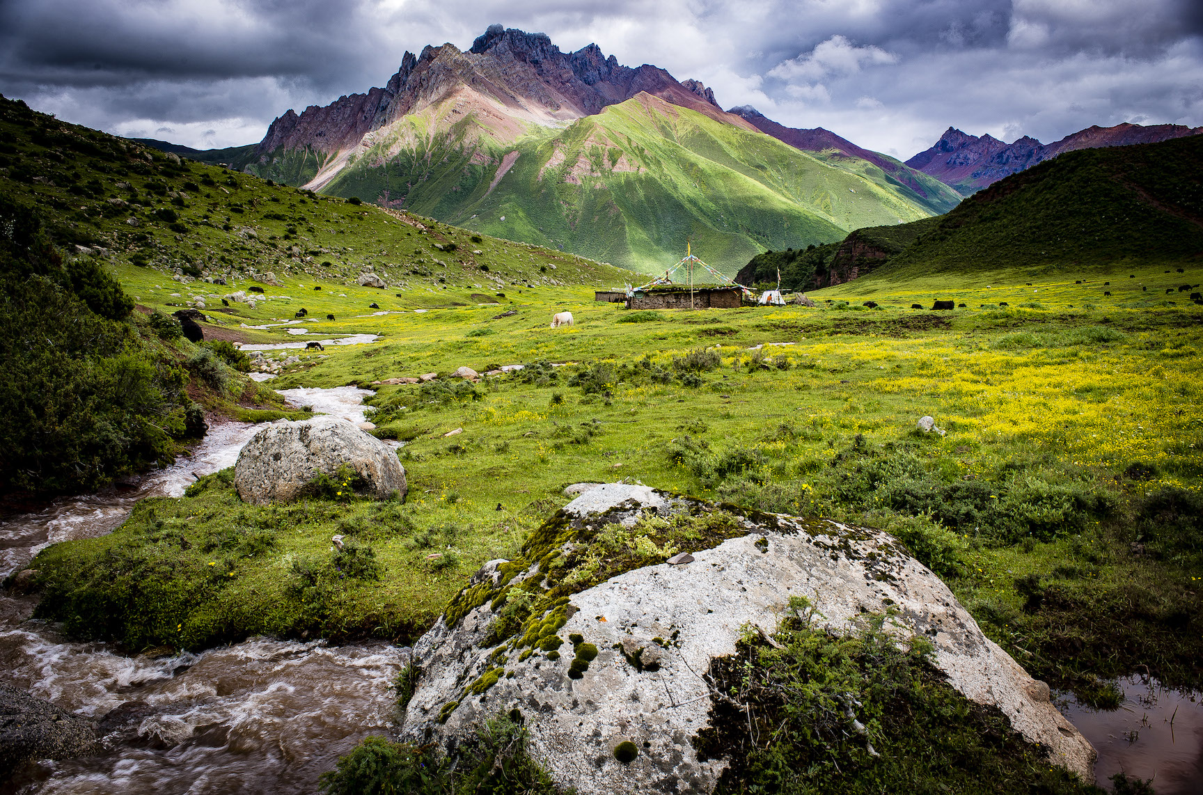 Alpine pastures in the sacred Dahu Valley, Kham. The mountain is considered to be the abode of a local god.