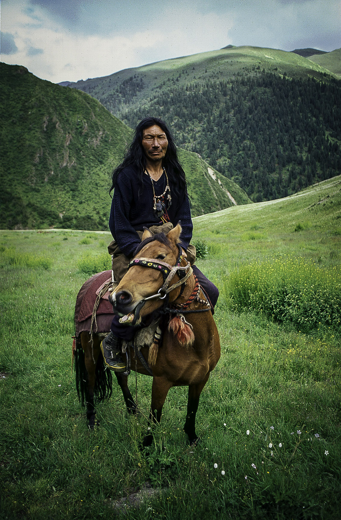 For-Moowon-2 A man riding a horse in the meadows