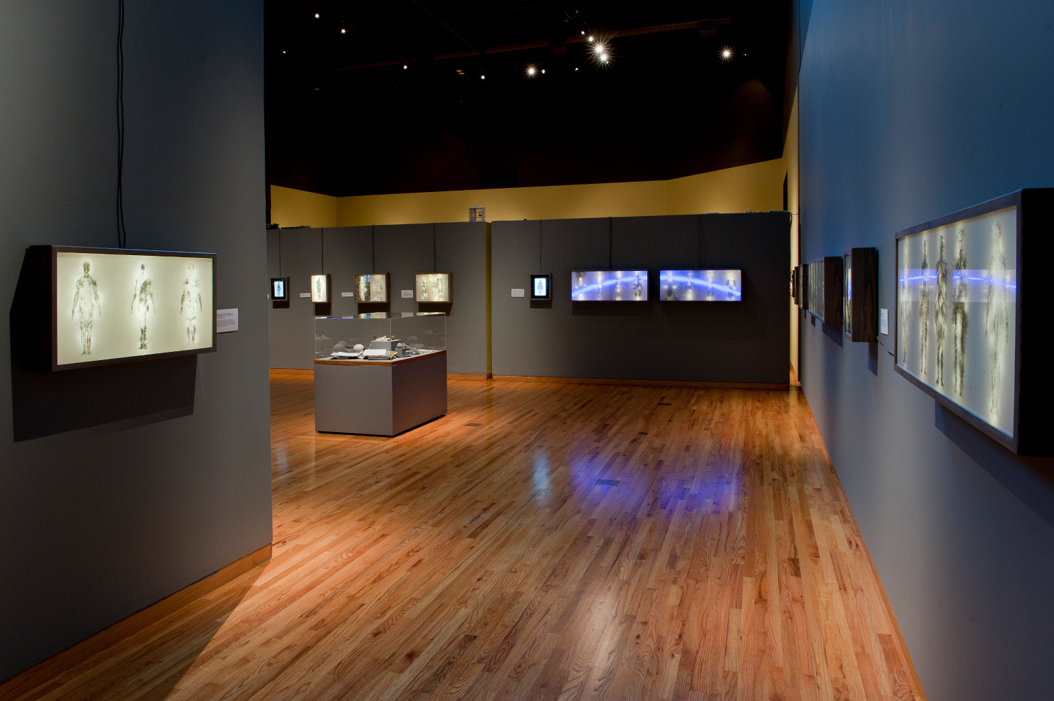 Art Exhibition