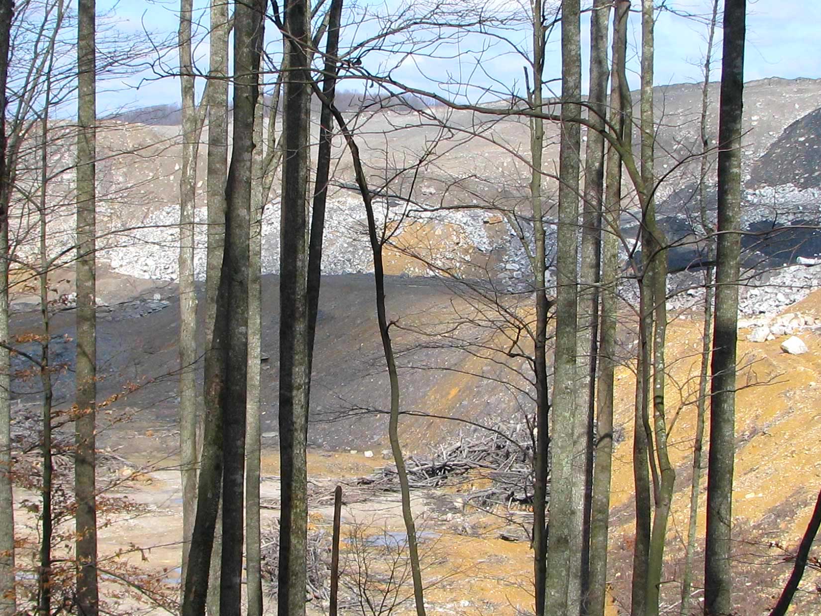 Mining excavation area with cleared land and rocky terrain behind forest trees