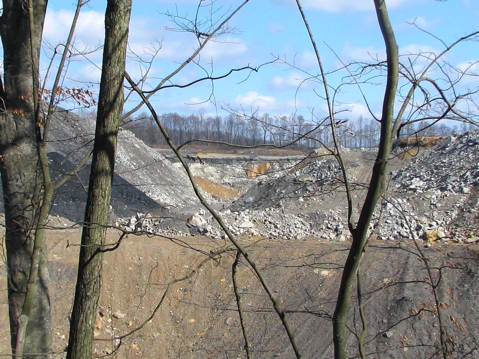 Open pit mining site viewed through bare trees, deforested landscape with exposed soil