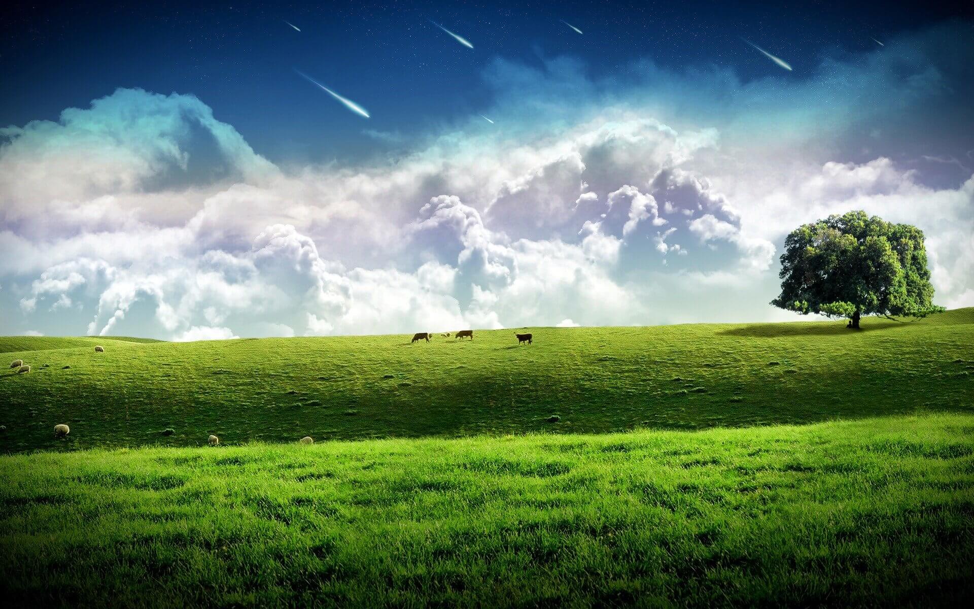 Pastures