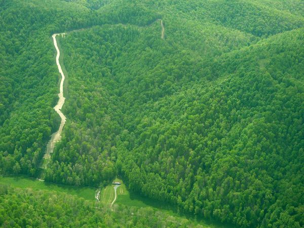 Aerial view of forest pipeline cutting through dense green woodland landscape