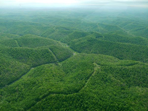 Aerial view of rolling green forest hills with pipeline clearing and valley terrain