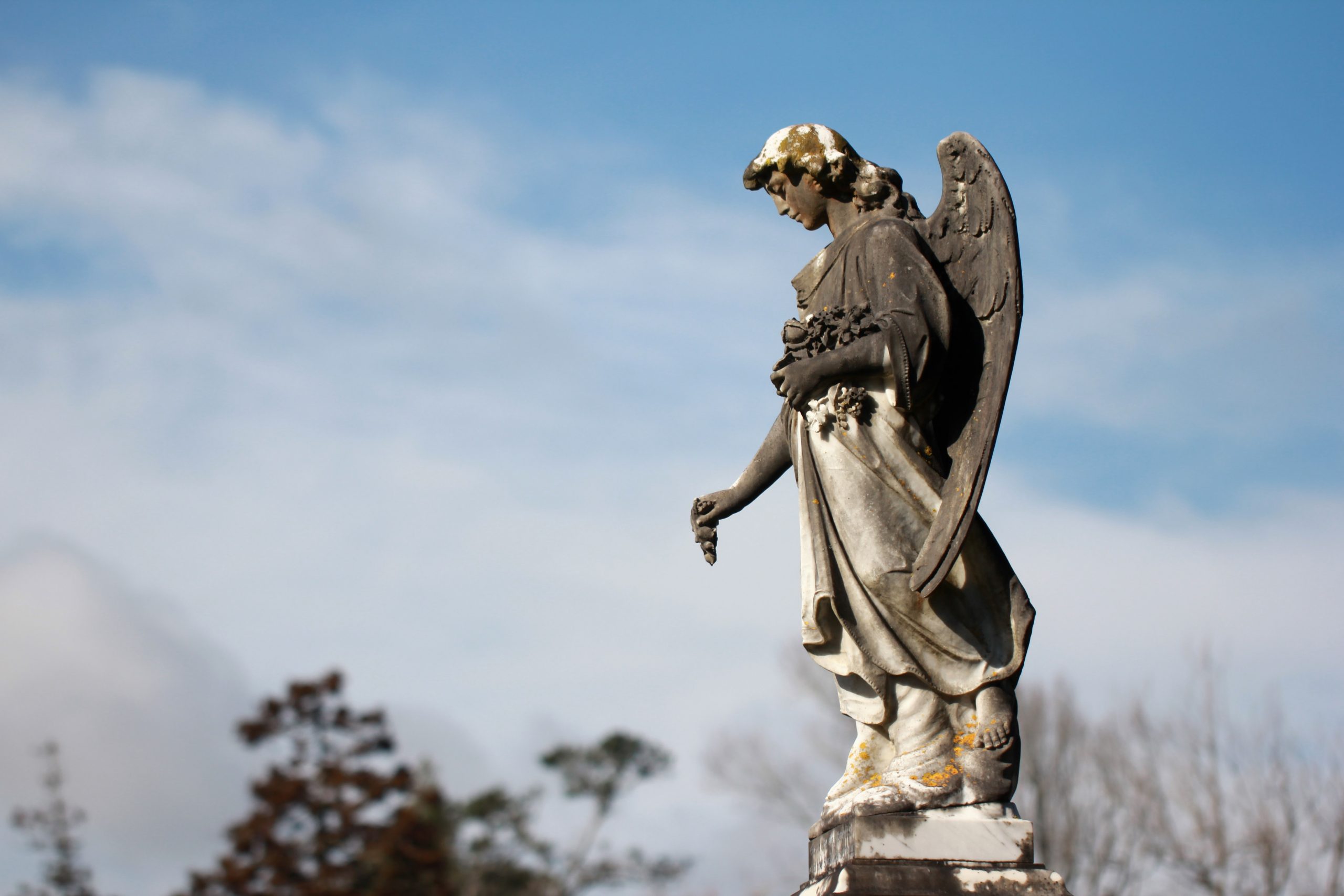 Two Poems by Diane Kendig
