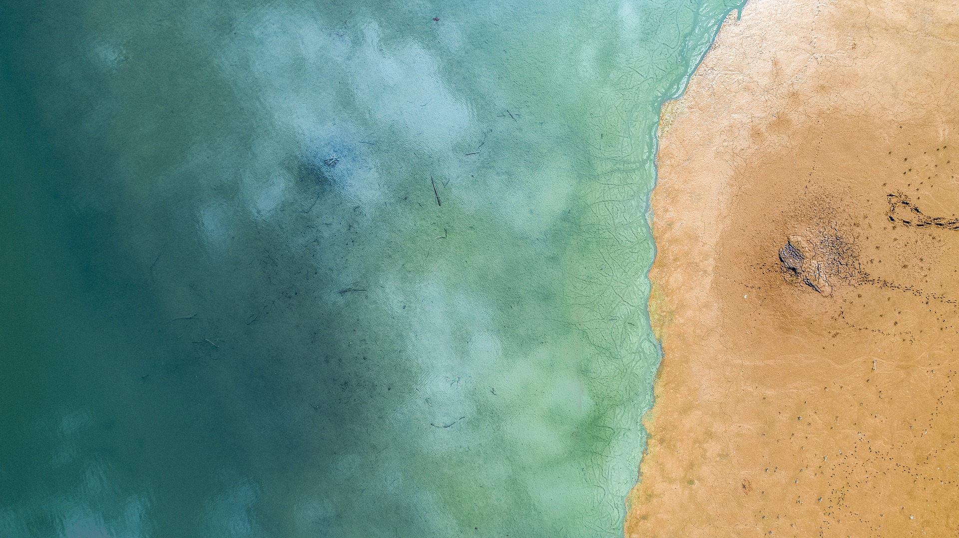 Top-down view of shoreline with clear turquoise water meeting sandy beach
